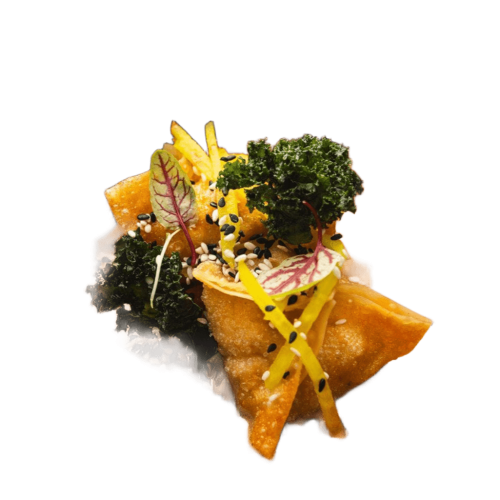 Crispy Wonton Soup